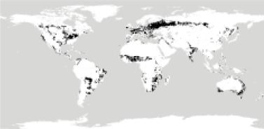 Alfisols of the world