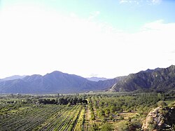 Fruit orchards near Londres.