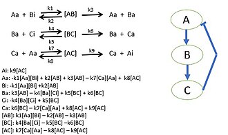 A simple three protein negative feedback loop modeled with mass action kinetic differential equations. Each protein interaction is described by a Michaelis–Menten reaction.