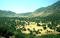 Landscape