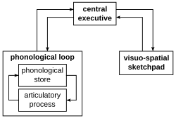 Baddeley's model of working memory