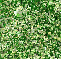 Center-pivot irrigated fields in Kansas covering hundreds of square miles watered by the Ogallala Aquifer