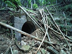 abandoned railway tunnel,Taguchi Railroad [ja],Japan
