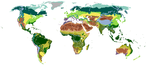 Biomes classified by vegetation Tundra Taiga Temperate broadleaf and mixed forest Temperate grasslands Subtropical moist forest Mediterranean Monsoon forest Desert Xeric shrubland Dry steppe Semi-desert Grass savanna Tree savanna Tropical and subtropical dry forest Tropical rainforest Alpine tundra Montane forest