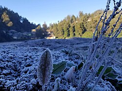 Light snow and frost are common at East Java highlands over 2,000 meters above sea level in middle of year during late night until morning