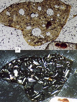 Photomicrograph of a volcanic lithic fragment (sand grain); upper picture is plane-polarized light, bottom picture is cross-polarized light, scale box at left-center is 0.25 millimeter.
