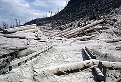 The Mount St. Helens National Volcanic Monument after the 1980 eruption