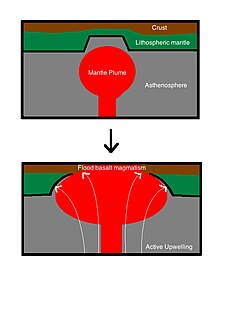 Plume model of flood basalt eruption