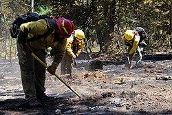 Firefighters conduct mop-up to secure fireline at the Fuller Fire. The Fuller Fire, located on the North Rim of Grand Canyon National Park, began on Jun. 29, 2016, by a lightning strike.