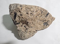 Hornblende diorite from the Henry Mountains, Utah, US