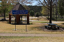 Wynette was born and raised mostly in Itawamba County, Mississippi, attending high school in Tremont, as noted in the picture.