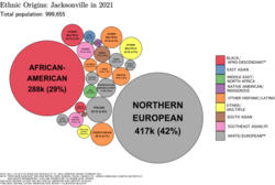The ethnic origins of people in Jacksonville