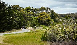 Shoreline Track, part of Devilbend's Reservoir Circuit Trail