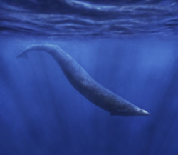 Basilosaurus was an early cetacean, related to modern whales