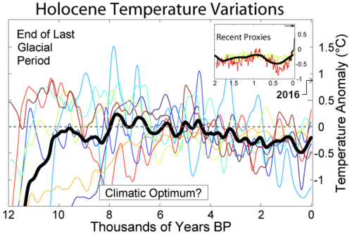 Temperature change over the past 12 000 years, from various sources. The thick black curve is an average.