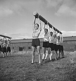 Troops use synchronization to learn teamwork