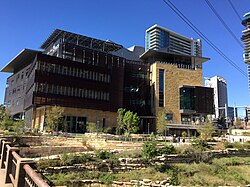 View of Austin Central Library from César Chávez Street