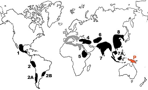 Centres of origin, as numbered by Nikolai Vavilov in the 1930s Area 3 is no longer recognized as a center of origin. New Guinea (area P) was identified more recently.[13][14]