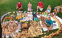 Food recovered by food waste critic Robin Greenfield in Madison, Wisconsin, from two days of recovery from dumpsters[120]