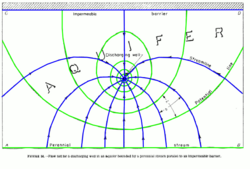 A plan flow net to estimate flow of water from a stream to a discharging well
