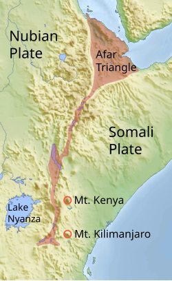 East African Rift and Gregory Rift Topographical