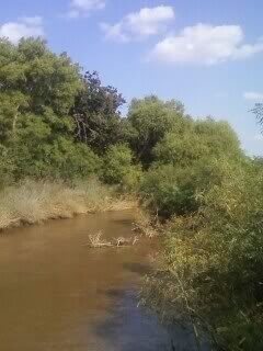 The approximate location on the Washita River where Chief Black Kettle was killed