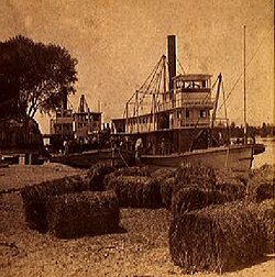 Steamboats on the Colorado River at Yuma, c. 1880
