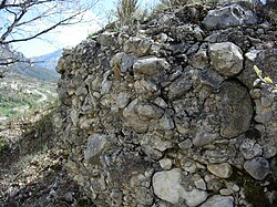 Conglomerate