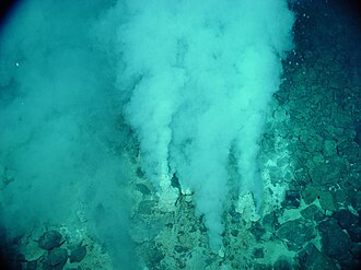 The earliest known life forms may be putative fossilized microorganisms, found in white smoker hydrothermal vent precipitates. They may have lived as early as 4.28 Gya (billion years ago), relatively soon after the formation of the oceans 4.41 Gya, not long after the formation of the Earth 4.54 Gya.[78]