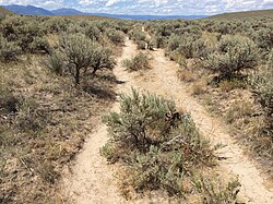 Present-day footpaths following ruts of the Oregon Trail near the National Historic Oregon Trail Interpretive Center east of Baker City, Oregon