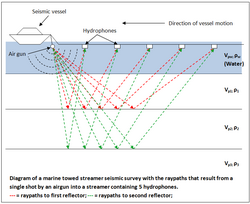 Marine seismic survey using a towed streamer