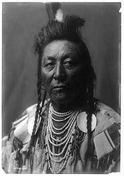 Crow Chief Plenty Coups