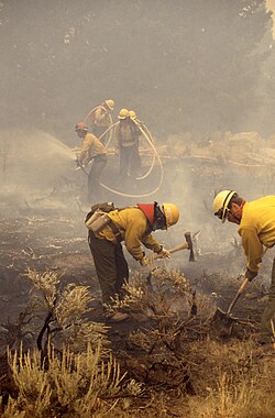 Firefighters dig fire lines and carry hose at Mammoth Hot Springs on September 10. 1988