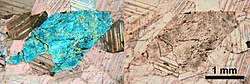 Photomicrographs of a thin section containing an amphibole crystal; under cross-polarized light on the left, and plane-polarized light on the right.