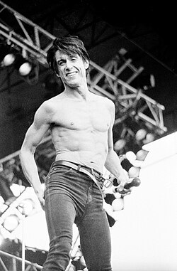 Iggy Pop at the Pinkpop Festival in 1987