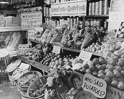 Surplus Commodities Program, 1936