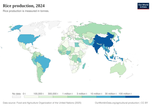 Rice production