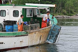 Lobstering in Portland