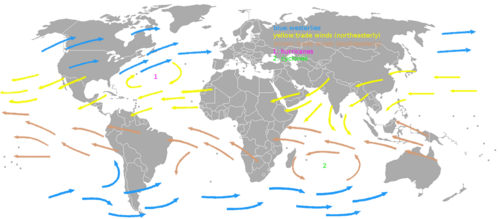 The westerlies and trade winds