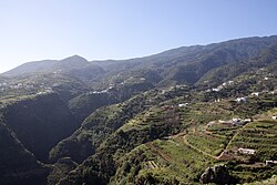 Terraced fields in La Palma