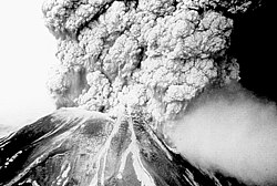 Sector collapse during the 1980 eruption of Mount St. Helens[1]