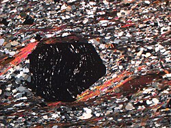 Thin section (crossed polars) of Garnet-Mica-Schist showing a rotated porphyroblast of garnet, mica fish and elongated minerals. This specimen was from close to a shear zone in Norway (the Ose thrust), the garnet in the centre (black) is approximately 2mm in diameter