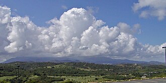 El Yunque National Forest in Puerto Rico