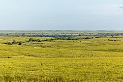 Flint Hills grasslands of Kansas