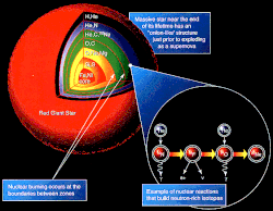 Cross section of a supergiant showing nucleosynthesis and elements formed.