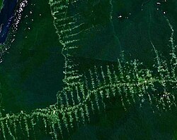 Deforestation and increased road-building in the Amazon rainforest are a significant concern because of increased human encroachment upon wild areas, increased resource extraction and further threats to biodiversity.
