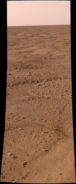 Approximate-color photomosaic of thermal contraction crack polygons in Martian permafrost.