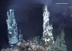 A hydrothermal vent is an ecosystem on the ocean floor. (The scale bar is 1 m.)