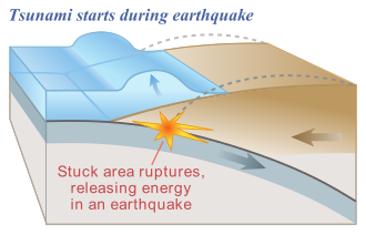 Submarine earthquake often cause tsunamis