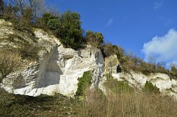 Open chalk pit, Seale, Surrey, UK